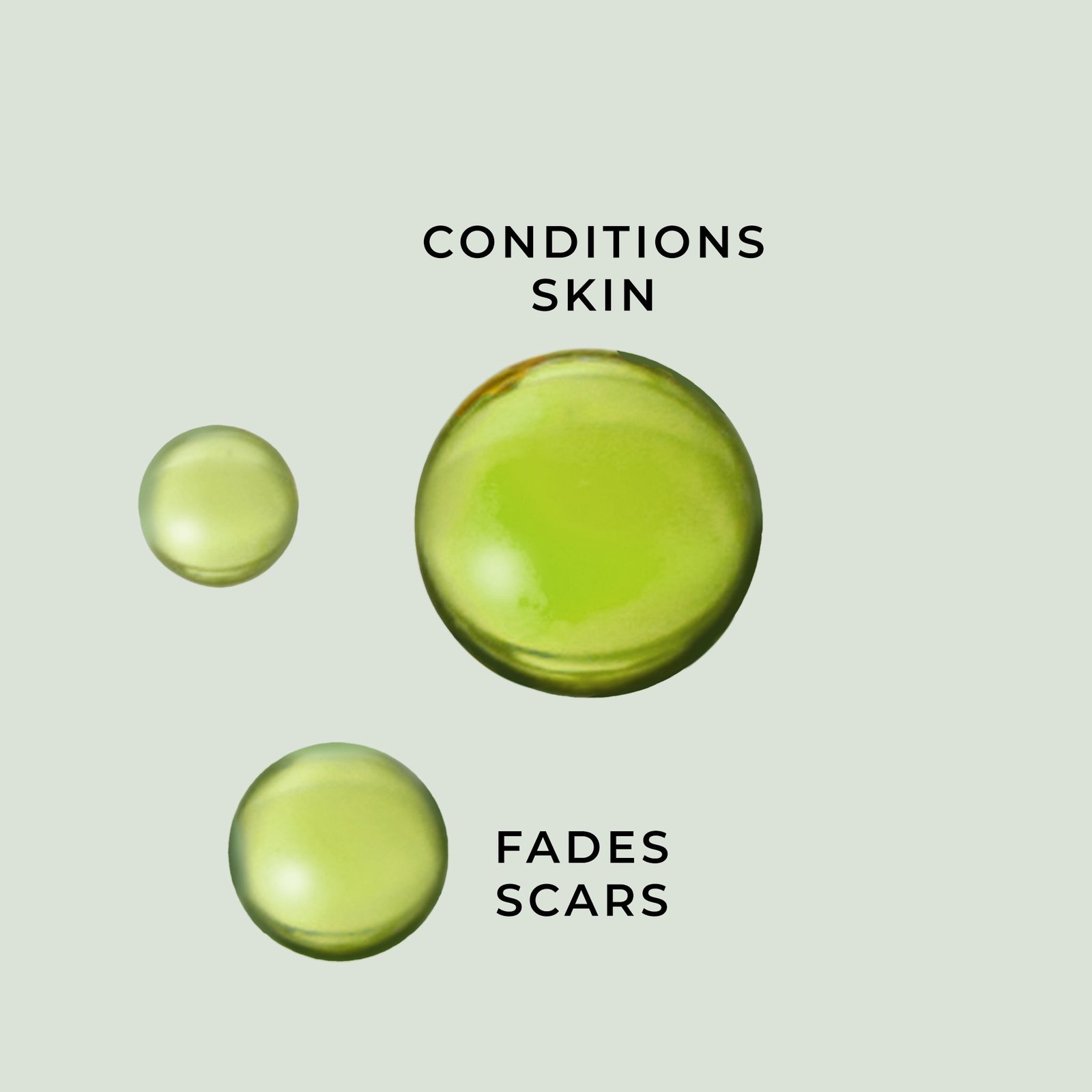 Organic Tamanu Oil - Image 4